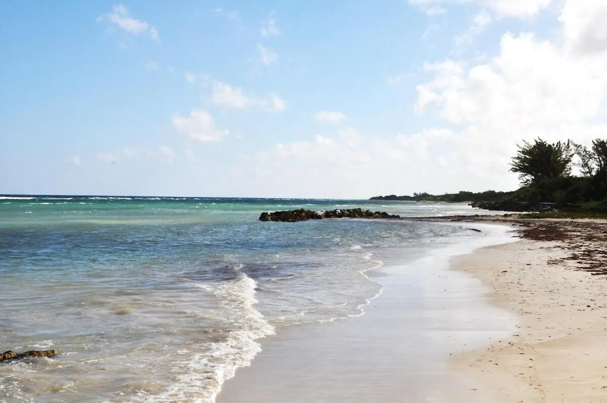 Appartement Compact Studio, Beach & Pool 204A Montego Bay