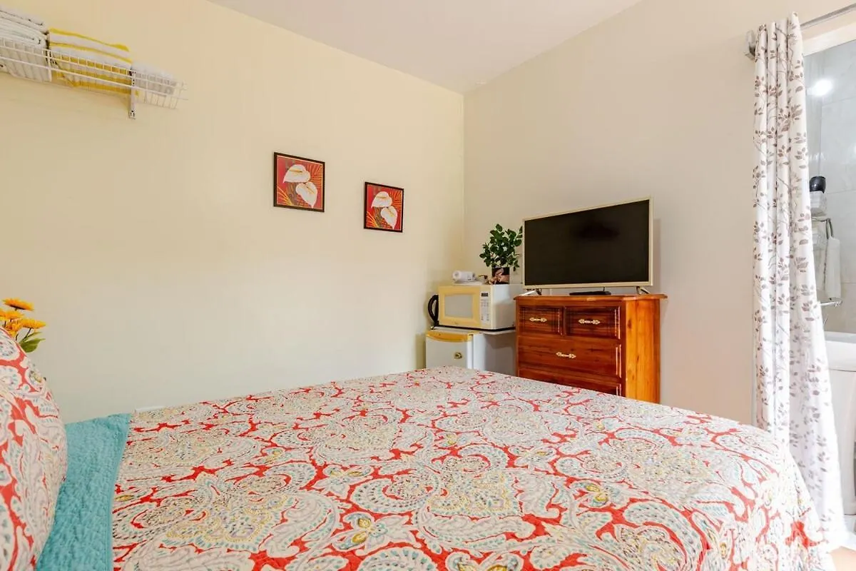 Compact Studio, Beach & Pool 204A Montego Bay