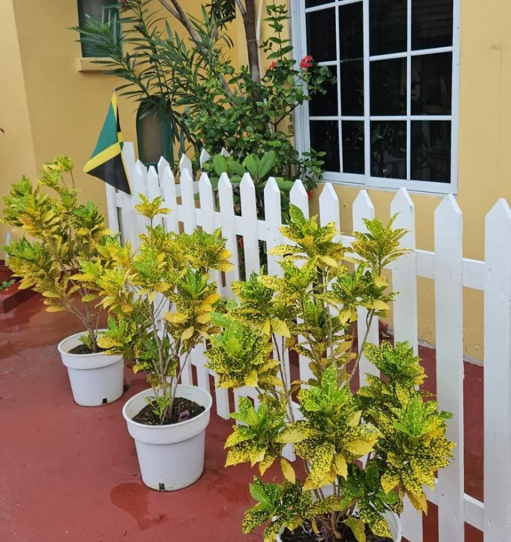 Compact Studio, Beach & Pool 204A Montego Bay